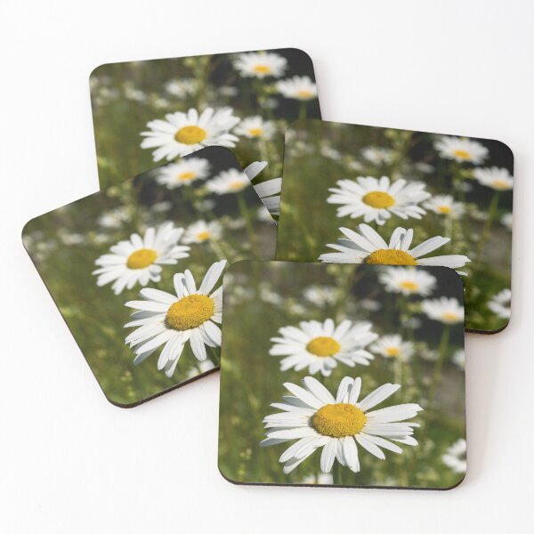 Item preview, Summerfield.. Oxeye Daisy designed and sold by Jouko Lehto Photography.
