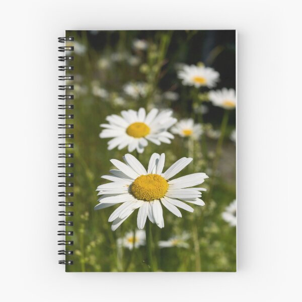 Item preview, Summerfield.. Oxeye Daisy designed and sold by Jouko Lehto Photography.