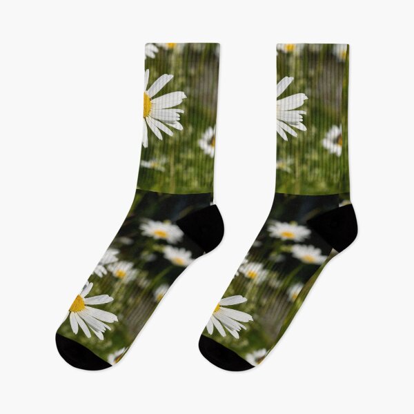 Item preview, Summerfield.. Oxeye Daisy designed and sold by Jouko Lehto Photography.