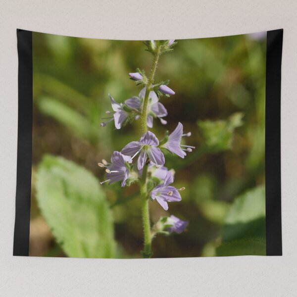 Item preview, Fighting the demons. Heath Speedwell designed and sold by Jouko Lehto Photography.