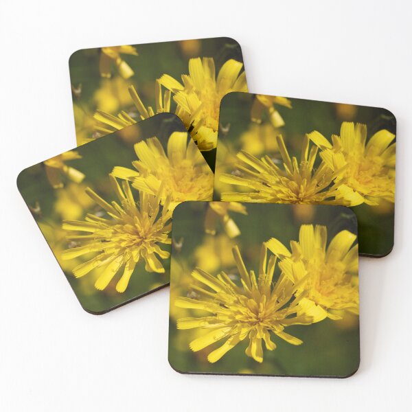 Item preview, Day's yellow spots. Hawkweed designed and sold by Jouko Lehto Photography.