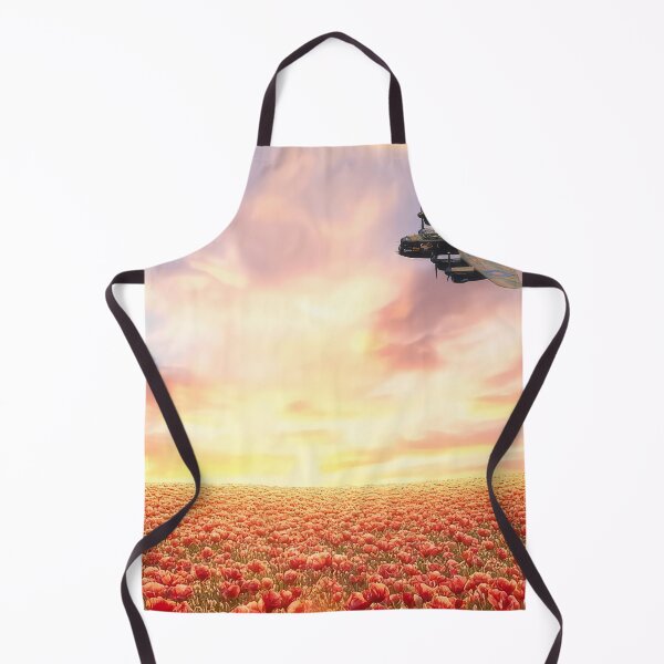 Item preview, Avro Lancaster Bomber Respect designed and sold by Skyframe Aviation.