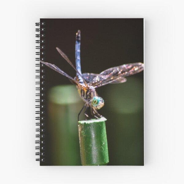 Artikelvorschau, Blaues Dasher Dragonfly Parkour entworfen und verkauft von maryannaga.