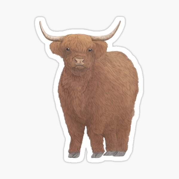 Item preview, Highland Cow Cute Pencil Drawing Illustration designed and sold by Lauren Fitton Illustration.
