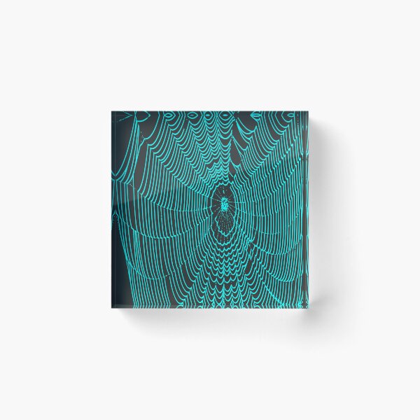 Item preview, Artistic Halloween Spider Cobweb Doodle In Teal designed and sold by taiche.
