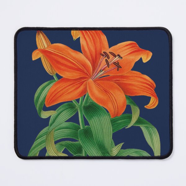 Item preview, Tifer Lily Botanical Illustration designed and sold by BUABUABUA.