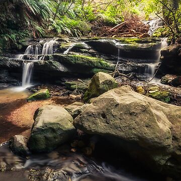 Artwork thumbnail, Stepping Cascade - Leura, Blue Mountains, Australia. by Danielasphotos