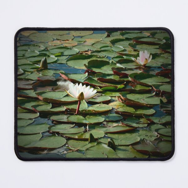 Item preview, Water lilies designed and sold by CrtvOdss.