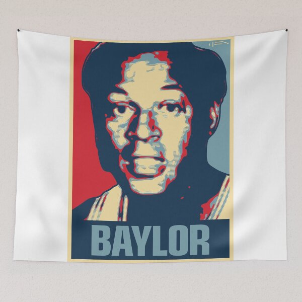 Item preview, Baylor designed and sold by DFA.