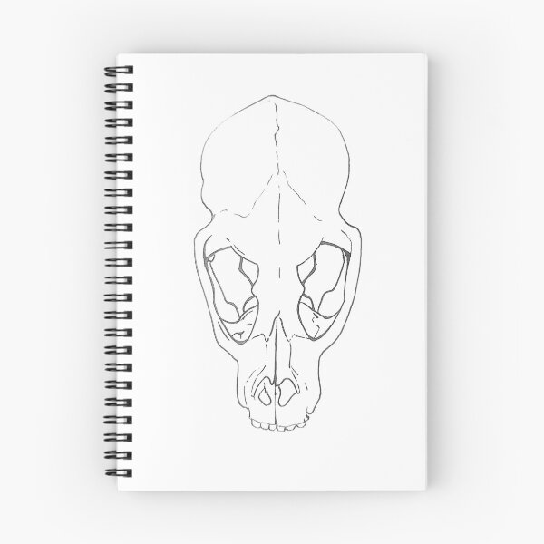 Item preview, Otter skull sketch designed and sold by hollypringle.