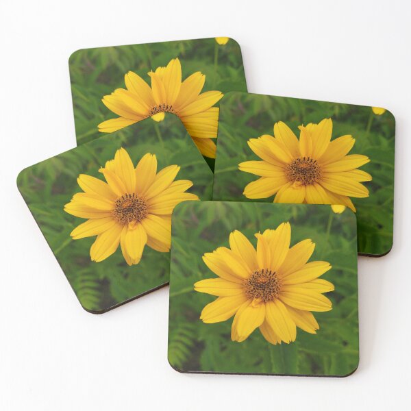 Item preview, Beautiful Yellow Flower - False Sunflower Photo designed and sold by Sky-99.