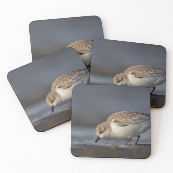 Item preview, Sanderling on a beach designed and sold by Angus1029.