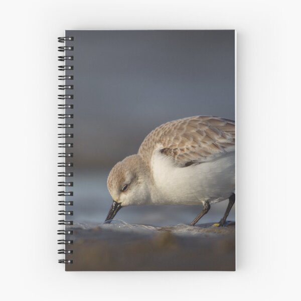 Item preview, Sanderling on a beach designed and sold by Angus1029.