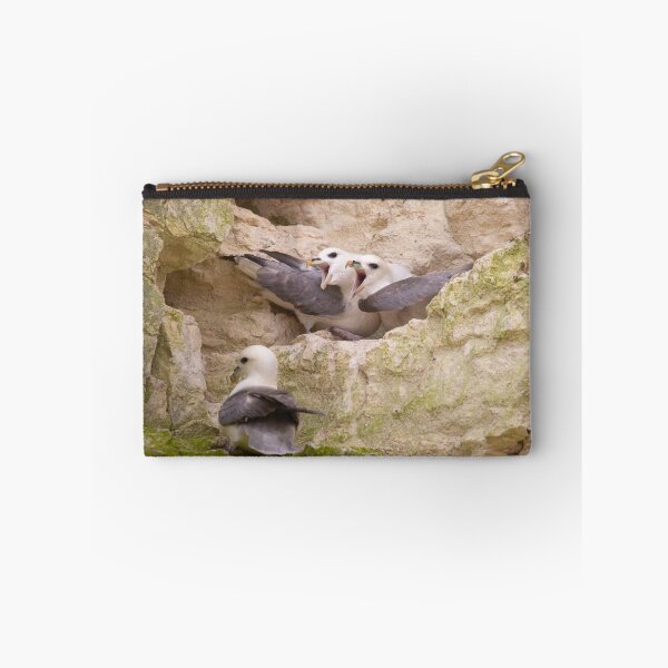 Item preview, Three nesting fulmars fighting on the rocks designed and sold by Angus1029.