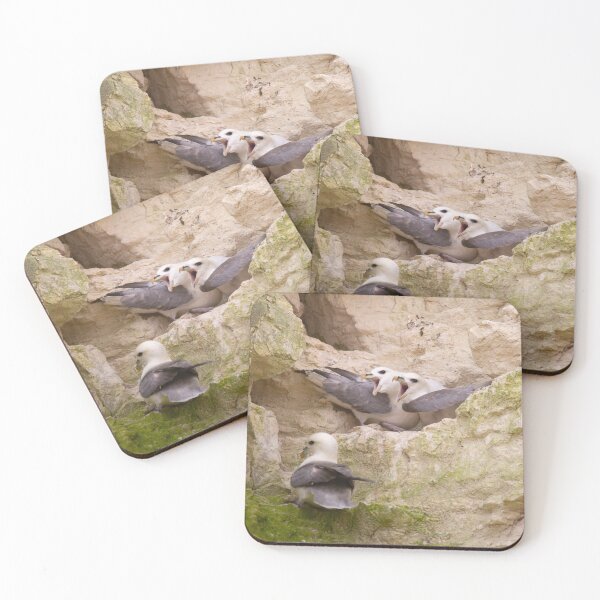 Item preview, Three nesting fulmars fighting on the rocks designed and sold by Angus1029.