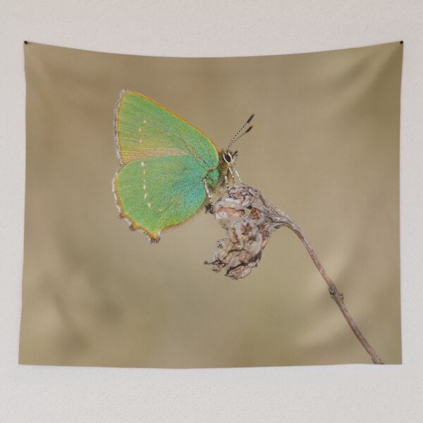 Item preview, Green Hairstreak Butterfly  designed and sold by Alec Stewart.