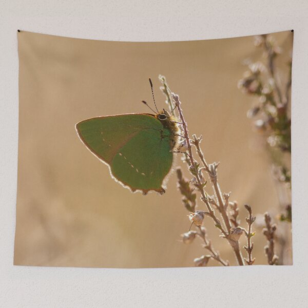 Item preview, Green Hairstreak Butterfly designed and sold by Alec Stewart.
