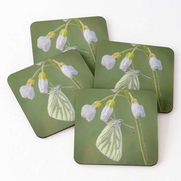 Item preview, Green Veined White Butterfly On Cuckoo Flower designed and sold by Alec Stewart.