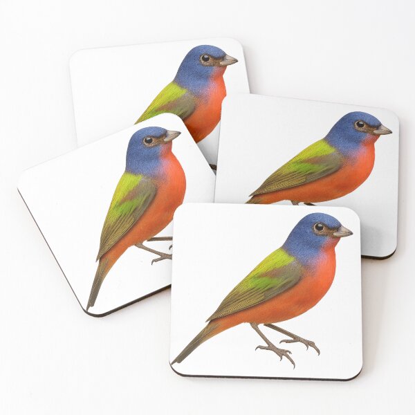 Item preview, Painted Bunting – Jewel of the Urban Skies designed and sold by LMPAC.