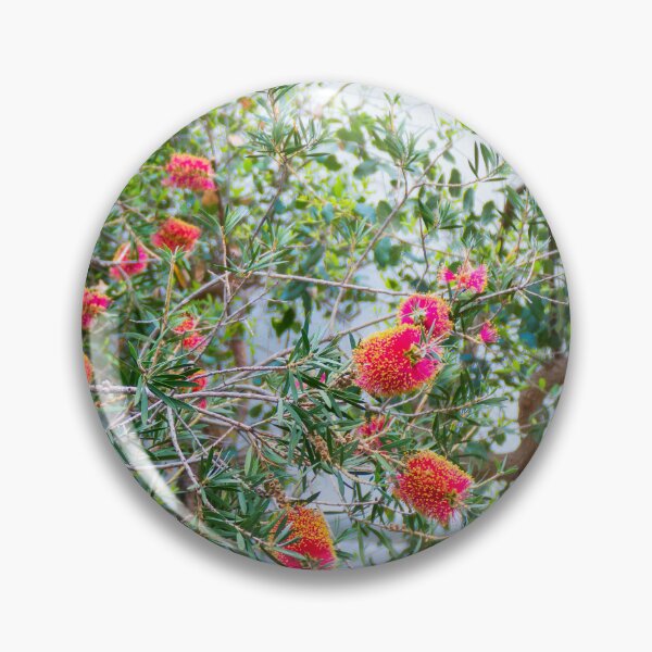 Item preview, Callistemon designed and sold by Aprylit.