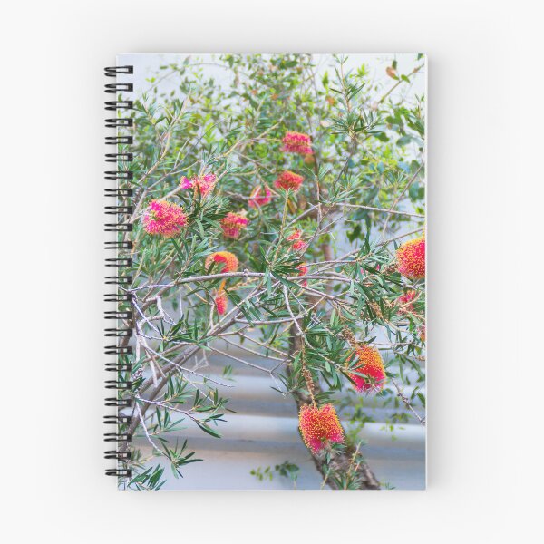 Item preview, Callistemon designed and sold by Aprylit.