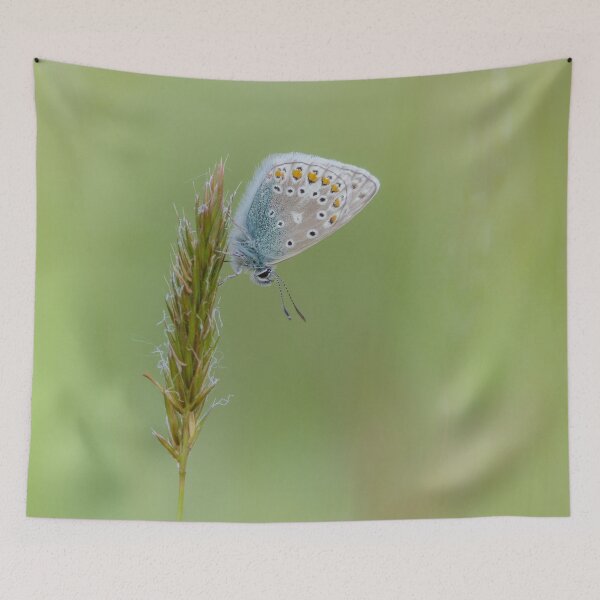 Item preview, Common Blue Butterfly On Grass  designed and sold by Alec Stewart.