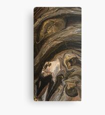 Metamorphic Canvas Print