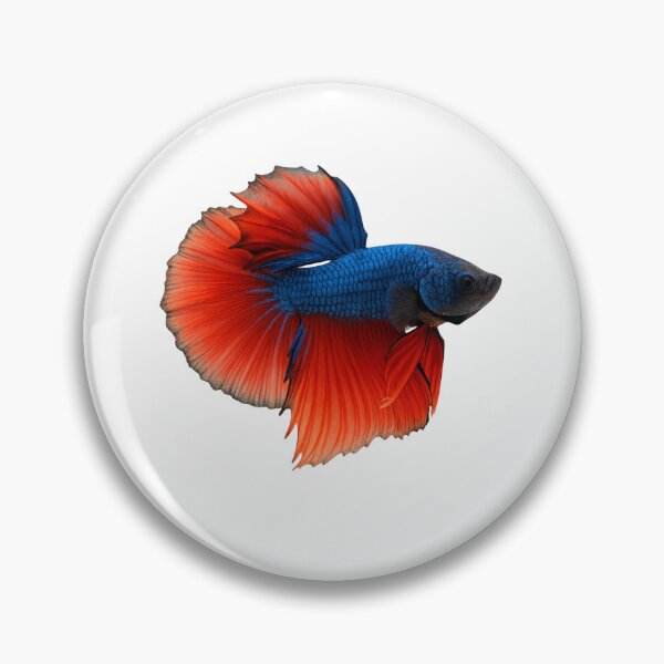 Item preview, Vibrant Betta Fish on Transparent Background designed and sold by LMPAC.