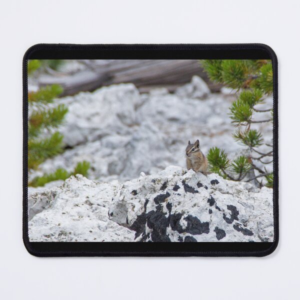 Item preview, Chipmunk at Clear Lake designed and sold by Imthenats Photography and Art.