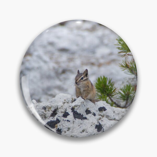 Item preview, Chipmunk at Clear Lake designed and sold by Imthenats Photography and Art.