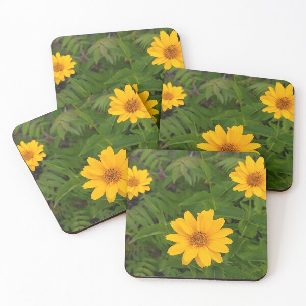Item preview, False Sunflowers Photo designed and sold by Sky-99.