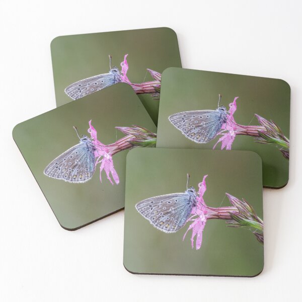 Item preview, Common Blue Butterfly  designed and sold by Alec Stewart.