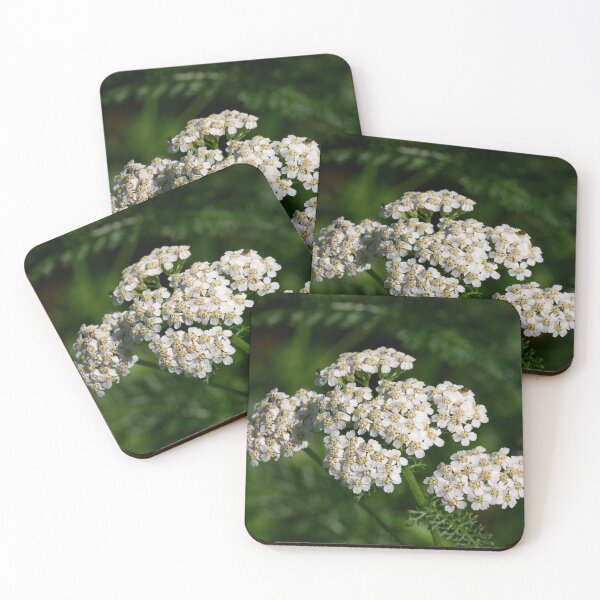 Item preview, Remember Achilleus. Yarrow designed and sold by Jouko Lehto Photography.