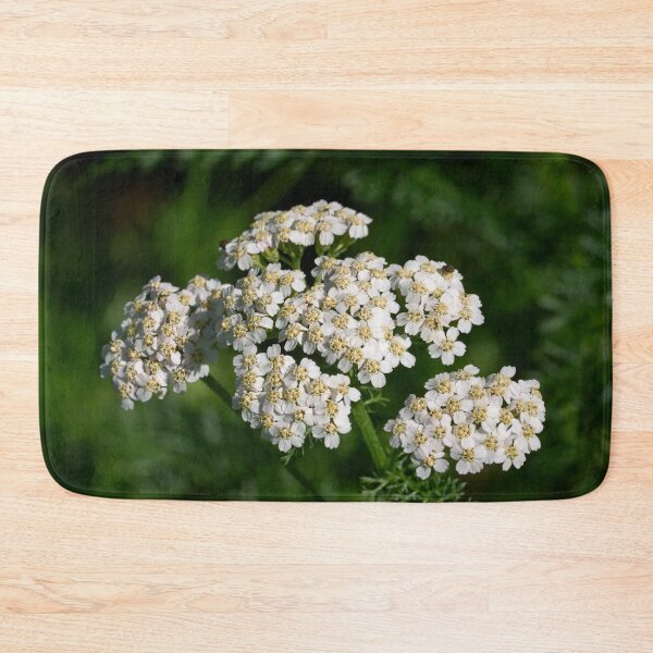 Item preview, Remember Achilleus. Yarrow designed and sold by Jouko Lehto Photography.