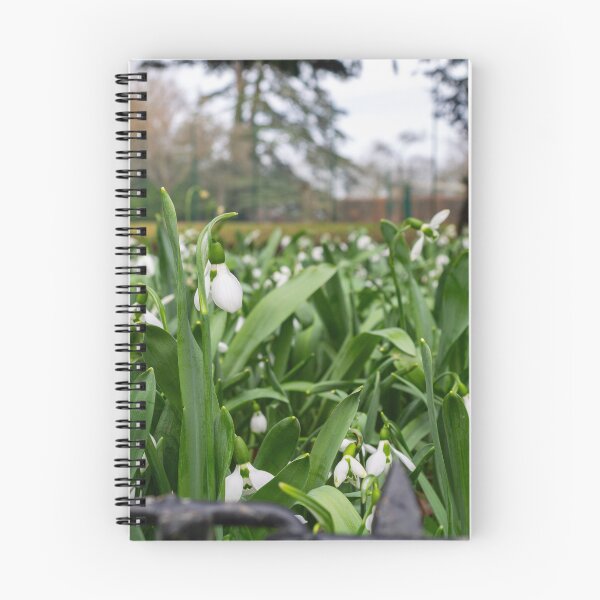 Item preview, Blenheim Palace Flowers designed and sold by Thomas Halouva.