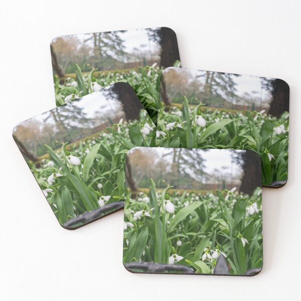 Item preview, Blenheim Palace Flowers designed and sold by Thomas Halouva.