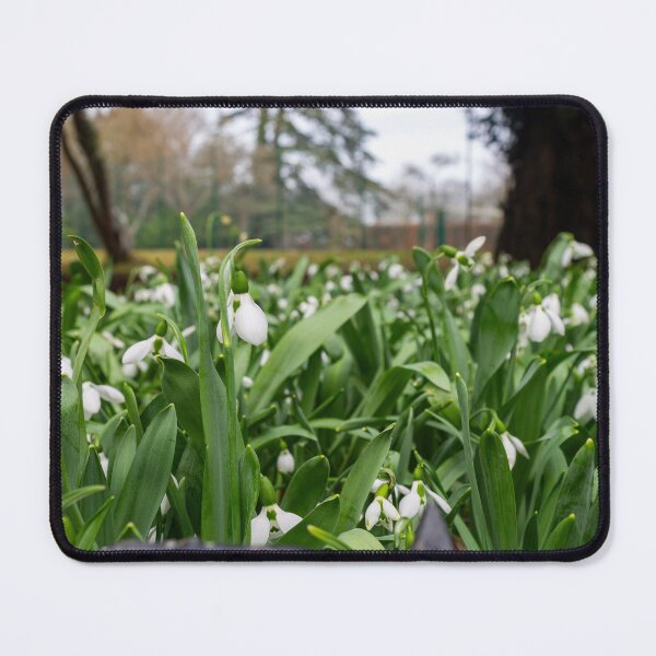 Item preview, Blenheim Palace Flowers designed and sold by Thomas Halouva.
