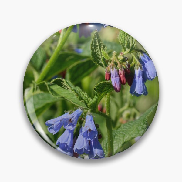 Item preview, The blue one. Prickly Comfrey designed and sold by Jouko Lehto Photography.