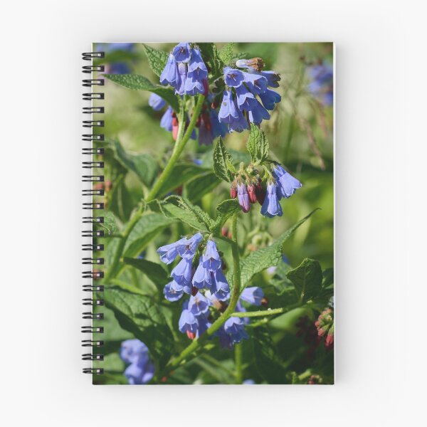 Item preview, The blue one. Prickly Comfrey designed and sold by Jouko Lehto Photography.