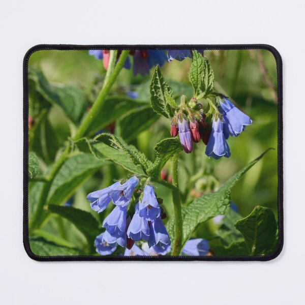 Item preview, The blue one. Prickly Comfrey designed and sold by Jouko Lehto Photography.