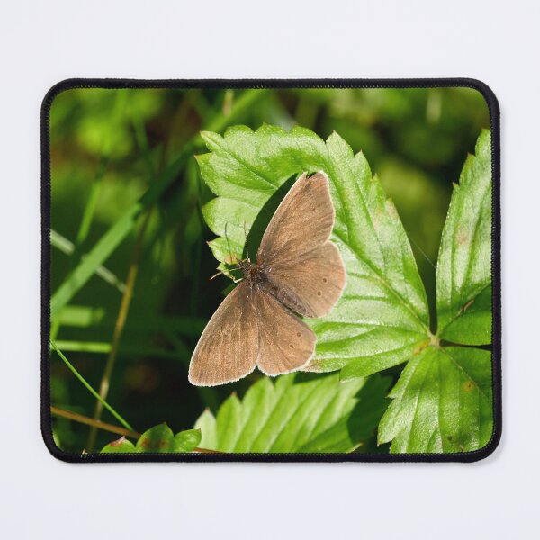 Item preview, Flying chocolate. Ringlet designed and sold by Jouko Lehto Photography.