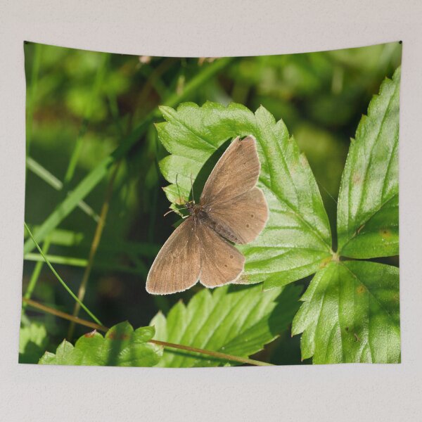 Item preview, Flying chocolate. Ringlet designed and sold by Jouko Lehto Photography.