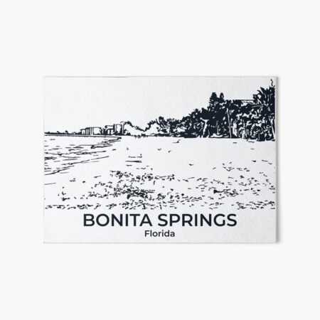 Vista previa del artículo con la obra «Bonita Springs, Florida», diseñado y vendido por Lakeric.