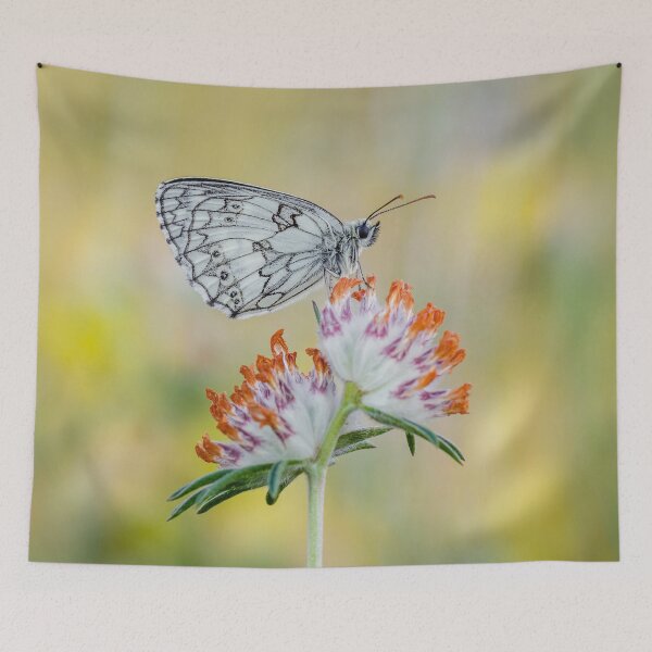 Item preview, Marbled White Butterfly  designed and sold by Alec Stewart.