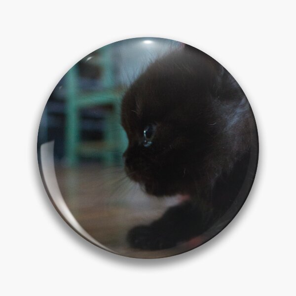Item preview, Black Kitten Close Up designed and sold by Rachel B Morton.
