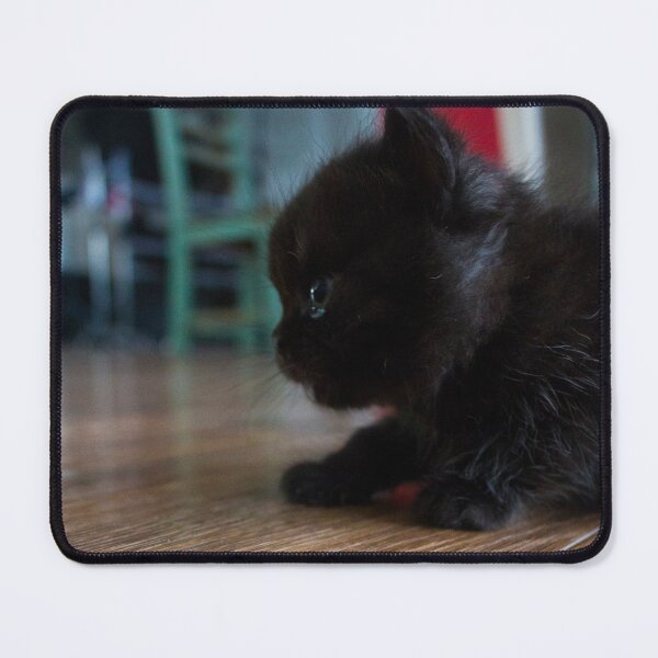 Item preview, Black Kitten Close Up designed and sold by Rachel B Morton.