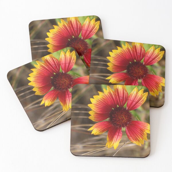 Item preview, Flower in the Wind designed and sold by Rachel B Morton.