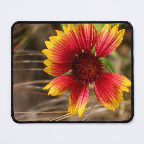 Item preview, Flower in the Wind designed and sold by Rachel B Morton.