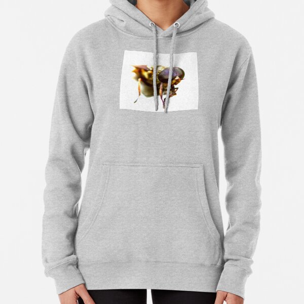 RISE OF THE FLIES Pullover Hoodie