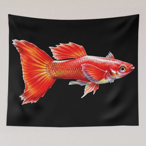 Item preview, red fire guppy designed and sold by 4rtistcDrift.